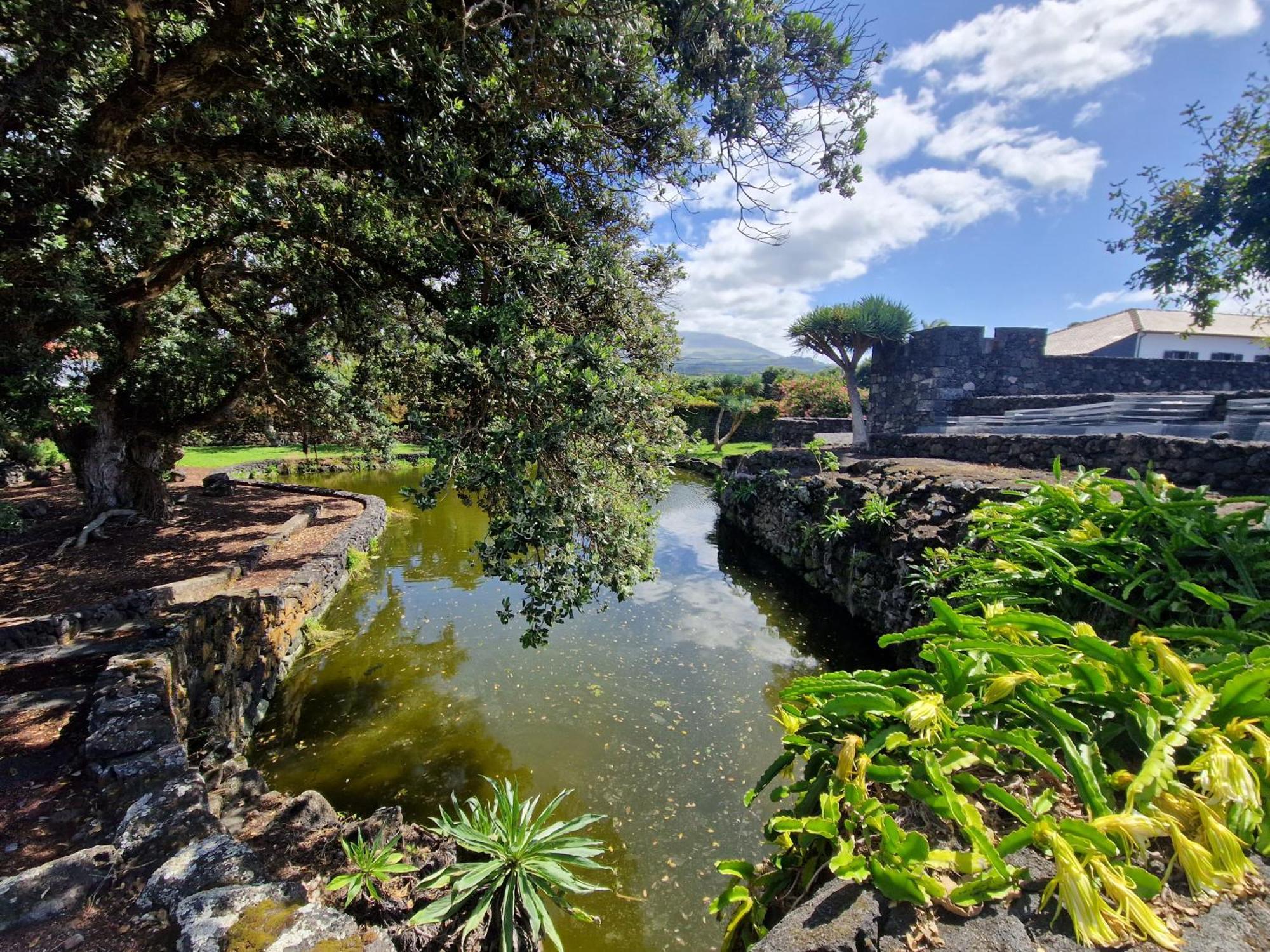 Solar Dos Limas Villa Criacao Velha Esterno foto